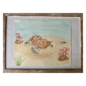 Tortue
