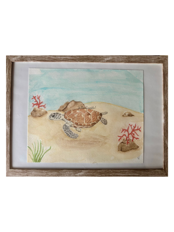 Illustration Tortue