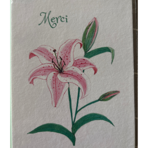 Lys