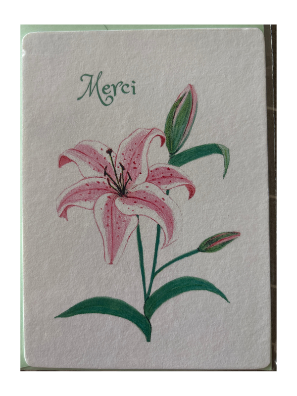 Carte Lys