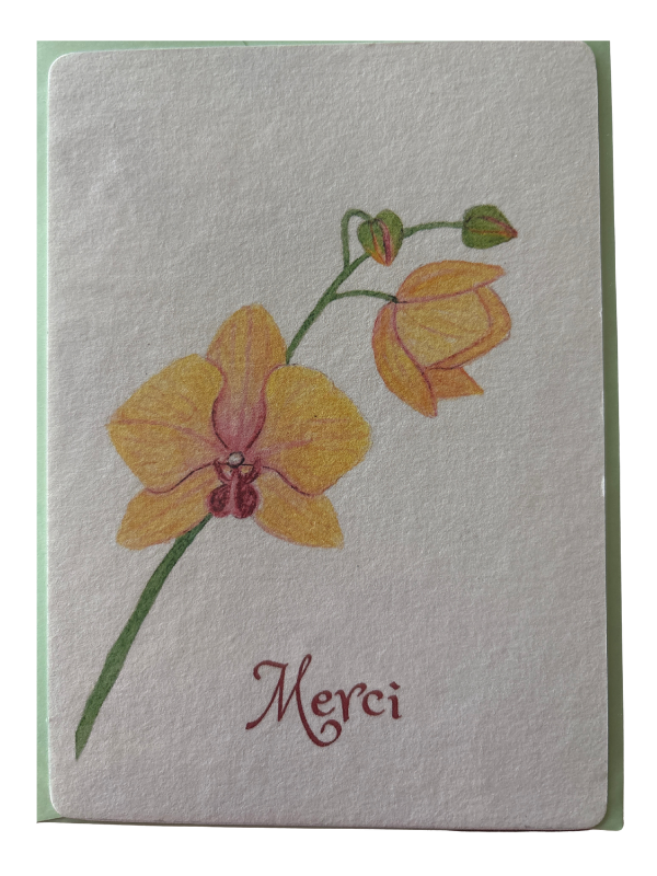 Carte Orchidées