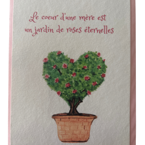 Rosier Eternel