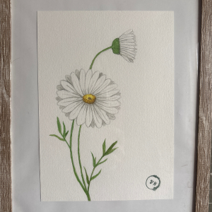 Marguerite
