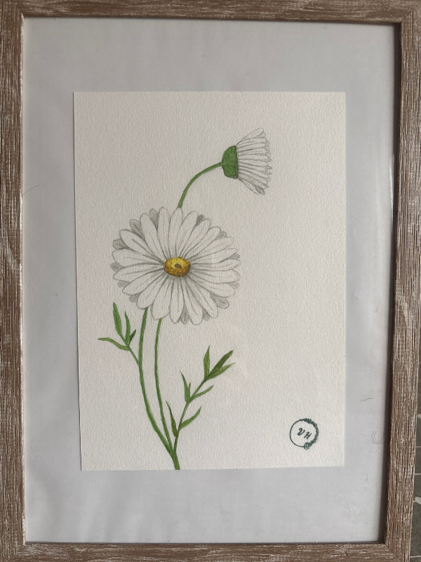 Illustration Marguerite
